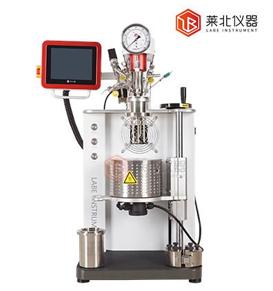 LB250 臺式固定頭機(jī)械攪拌反應(yīng)釜